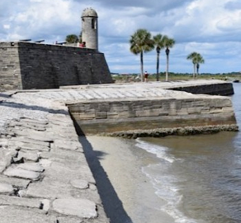 DSC_0517-e1444680562994